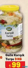GALLE KARIŞIK TURŞU 3 KG GALLE KARIŞIK TURŞU 3 KG